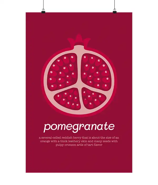Pomegranate Fruit Illustration Poster Print